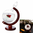 Beautiful Weather Forecast Crystal Storm Glass Wooden Base Globe Shape Desk