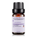 6 Kinds 10Ml Essential Oils Aromatherapy Oil For Aroma Diffuser Humidifier