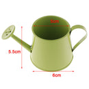 3xColorful Plant Watering Can Long Mouth Watering Pot