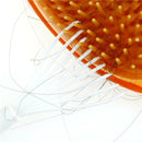 Plastic Hair Brush Comb Cleaner Remover Embedded Hairbrush Cleaning Tool wyTOCA