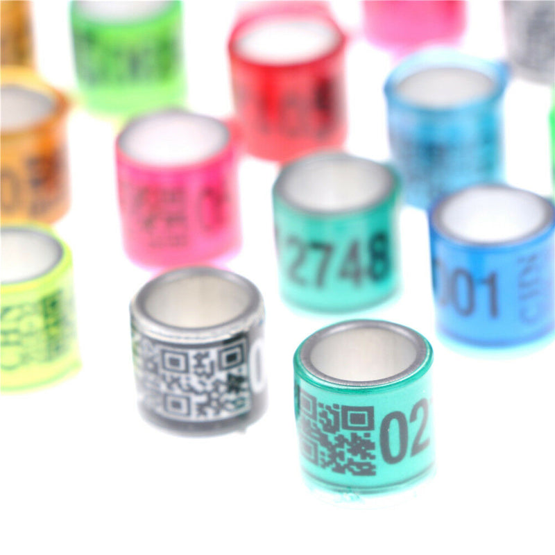 20pcs Pigeonleg Rings Bands Plastic GB Rings Training Supplies Aluminium RingB&X