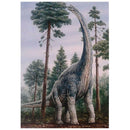 5D DIY Full Drill Diamond Painting Cross Stitch Embroidery Kit (Dragon08)