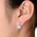 Zircon Earrings Round Earrings Fashion White Bride Wedding Earrings Hypoall