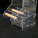 Pet Parrot Automatic Transparent Feeder Birds Splash-proof Food Dispenser