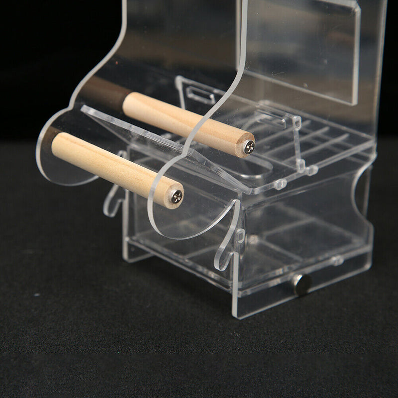 Pet Parrot Automatic Transparent Feeder Birds Splash-proof Food Dispenser