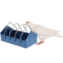Pigeon Bird Feeding Dish Feeder Bowl Drinking Cup Parrots Cage Feed Box