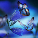 5D DIY Full Drill Diamond Painting Cross Stitch Embroidery (Butterfly05)