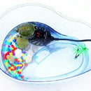 Aquarium Fish Tank LED Display Digital Water Heater Submersible Thermostat 220V