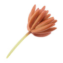 2pcs Artificial Succulents Plants Fingered Echeveria Desk Decor Photo Props