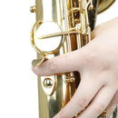 Saxophone Thumb Rest, Sax Metal Thumb Rest Hook Support Sax Instruments