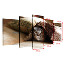 5 Panel  Wall Art Scenic Picture Paint Printed on Canvas Pet Cat
