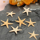 20 pcs Mini Cute Small Starfish Sea Star Shell Beach Home Decor DIY Craft