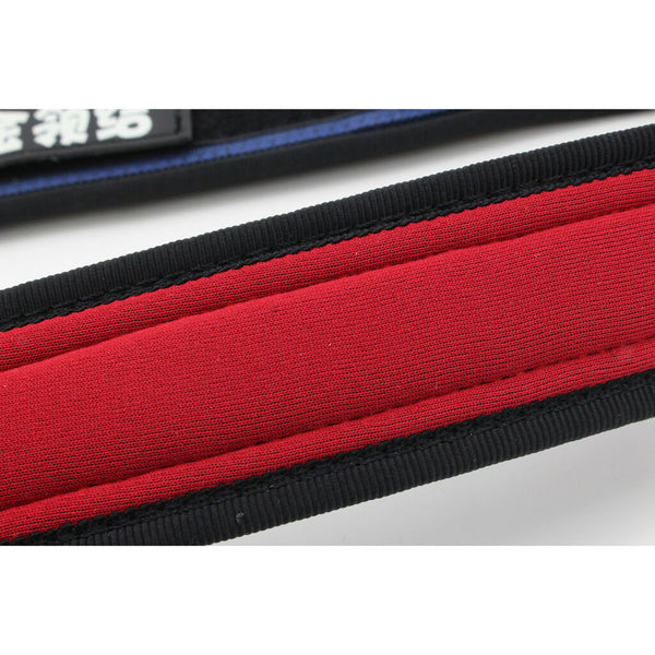 Dog Collar, Feed a Dog Durable Oxford Puppy and Dog Collar with D Ring