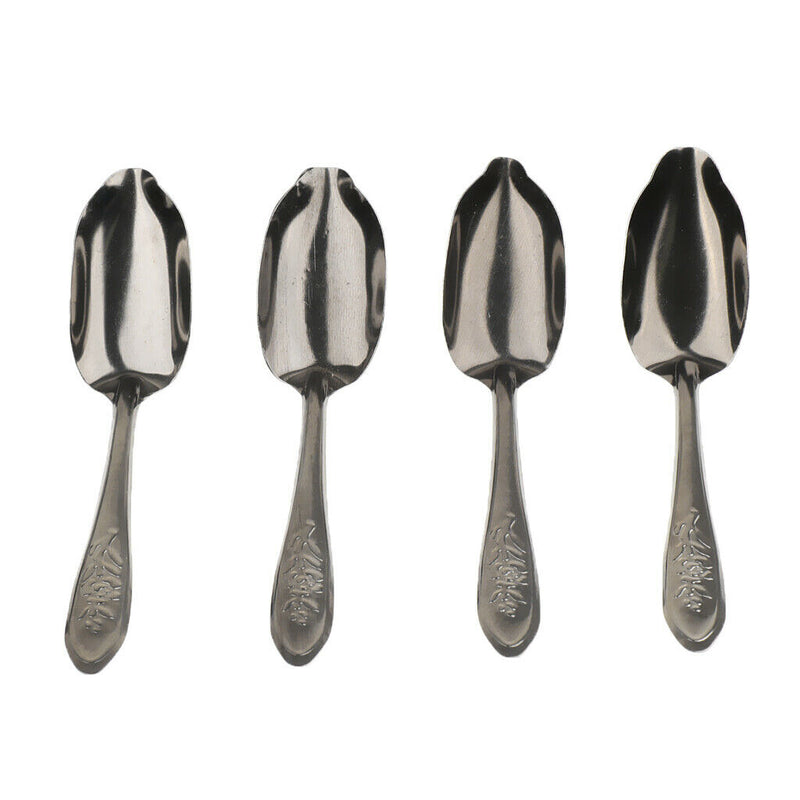 Pack Of 5 Stainless Steel Spoons For Parrot Milk For Pet Birds