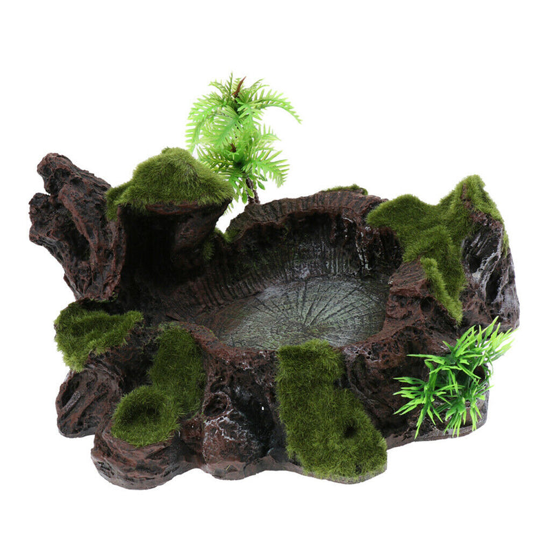 Set Of 2 Reptile Plant Decorative Water Dish & Food