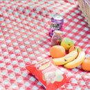 Outdoor Beach Garden Camping Picnic Mat Folding Blanket Portable  150x200cm