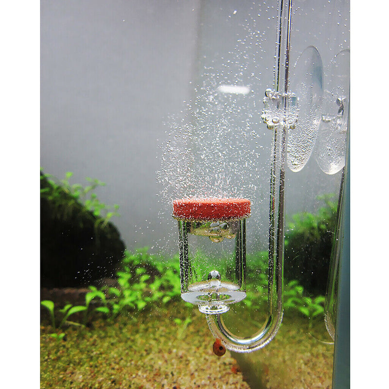 High Efficiency Aquarium Fish Tank CO2  Diffuser with Suction Cup S