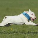 Dog Cooling Bandana, Dog Pet Cooling Collar for Summer, Instant Cooling Dog