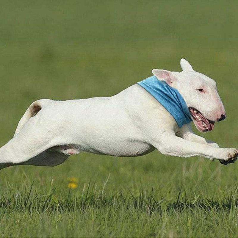 Dog Cooling Bandana, Dog Pet Cooling Collar for Summer, Instant Cooling Dog