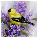 Little Bird 5D Diamond Embroidery Painting Diy Cross Stitch Art Craft S4J4
