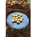 2 Pieces Turtle Basking Area, Turtle Feeding Platform Bowl, Natural Rock for