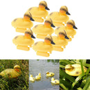 8 Pack Baby Duckings Floating Decoy Ducks Plastic Ornament Fish Pond Koi Fish
