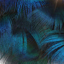 100pcs Beautiful Natural Peacock Feather Plume Christmas Holiday Decoration OOU