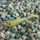 10pcs/lot Bait Fishing Lure Luminous Smell Jig Hook Clam Worm 50mm/1.2g-AU V6L5