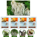 Plants Fast Rooting Powder Strong Rapid Medicinal Seedling For Cutting G1K7