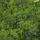 60 x 40cm Artificial Meadow Artificial Grass Wall Panel for wedding or home G1A3
