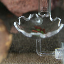 6 Pcs Aquarium Crystal Clear Acrylic Red Shrimp Snails Feeding Dish Food Bowl