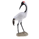 Garden Bird Ornament Realistic Red-crowned Crane Animal Outdoor Statue NEW
