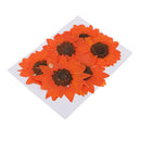 6pcs Pressed Dried Real Flower Sunflower Scrapbooking Embellishments Orange