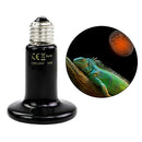 Pet Supply Reptile Lamp 220V Reptile Heater Blub 75W Far Infrared 200W
