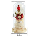 Beauty And The Beast Imitated Lily Flower LED Light Glass Dome Display Wood P5C9
