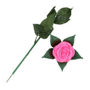 Rose Romantic Outdoor Yard Garden Path Way Tulip Bar Landscape Flower Night R2U5