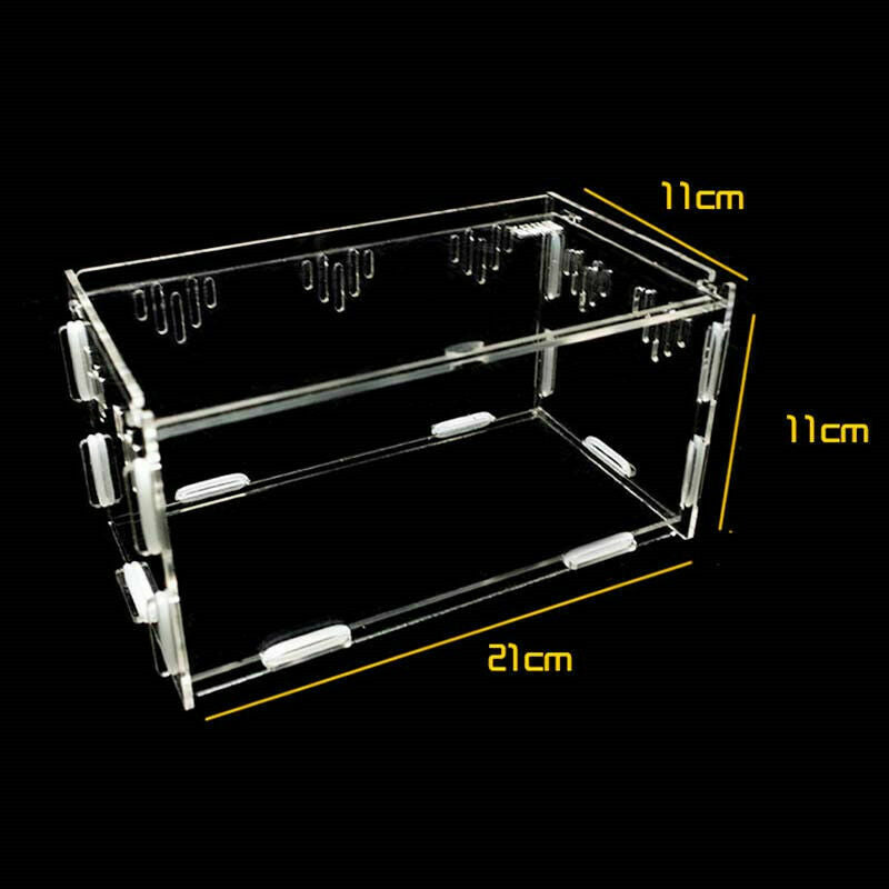 Acrylic-Reptile-Terrarium-Habitat-Ideal-Case-for-Larvae-spiders-ants-scorpi U5V9