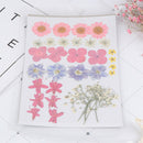 Real Dried Flower Material Dyeing Flower For Craft Phone Case DIY Accessori%!
