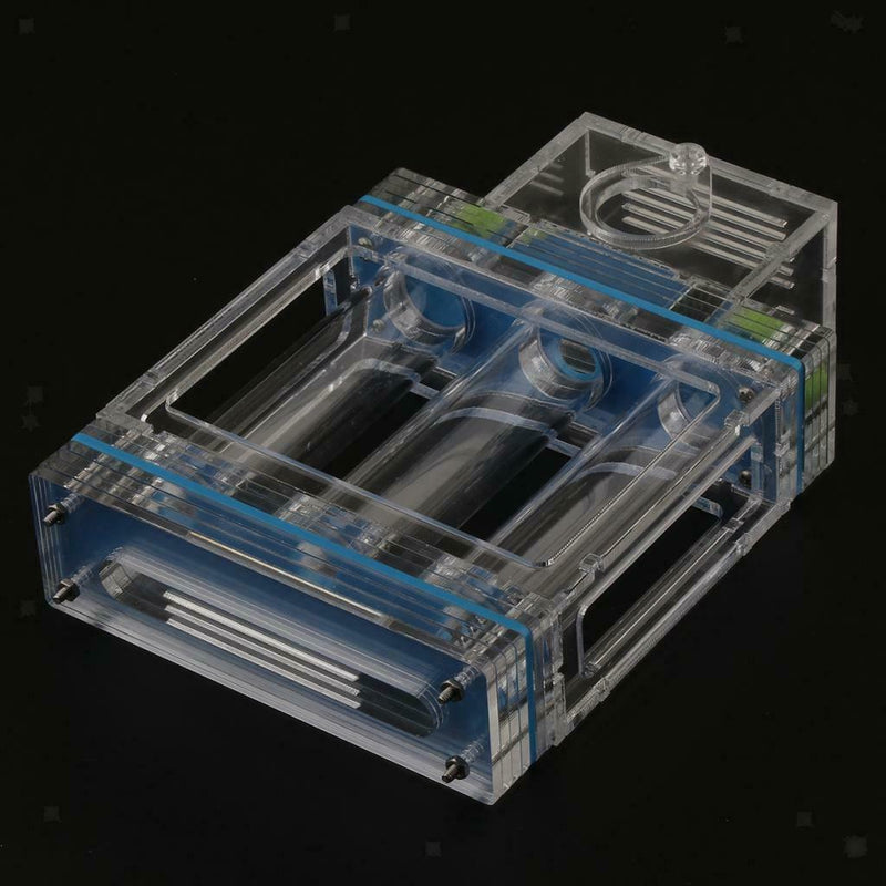 Clear Ant Feeding Nursery Box Ant Farm House Castle Nest For Insect Ant