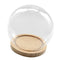 Glass Display Cloche Bell Jar Dome Flower Vase & Wooden Base 15cmx14cm (DXH)