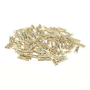 100Pcs Mini DIY Wooden Clothes Photo Paper Pegs Clothespin Cards Craft Clips  OZ