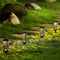 4X Solar Garden Torch Lights Dance Flames LED Waterproof Landscape Lawn L PED