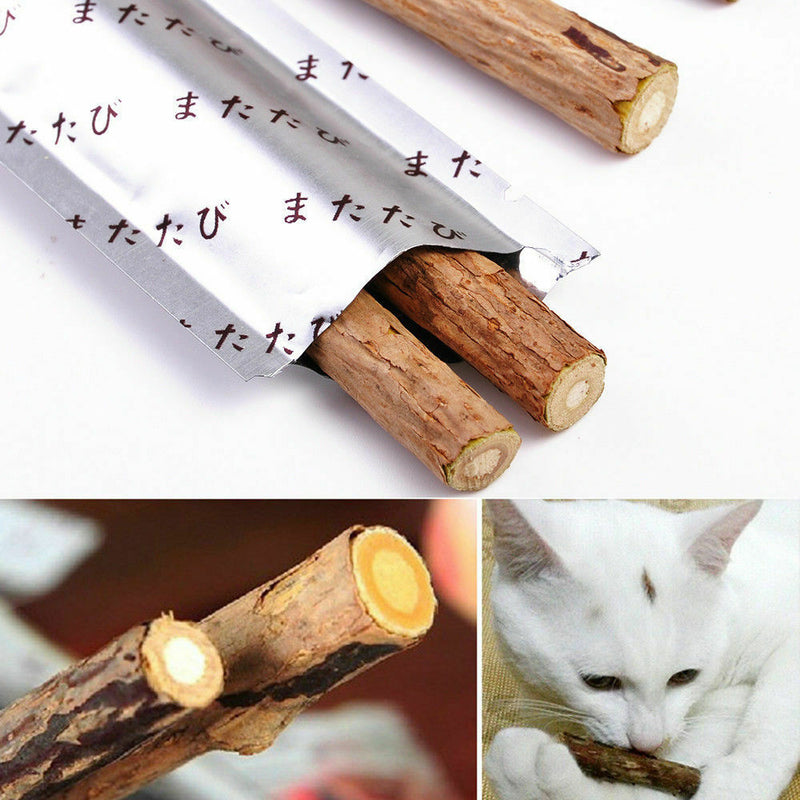 Cat Cleaning Teeth Pure Natural Catnip Stick Silvervine Tasty Snacks Treat Toys