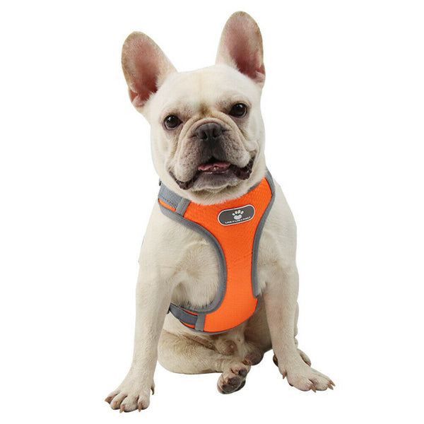 Reflective Vest Dog Chest Strap Breathable Pet Harness Leash Set (Orange M) A#S