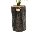 Artificial Succulent Plant Mini Faux Potted Wooden Stump Home Hotel Decor