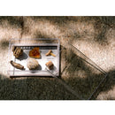 Rock and Mineral Collection in Specimens (6 Pieces)