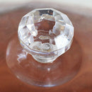 Acrylic Cake Display Dish Bread Tray with Lid Dessert Table Tray with Cover