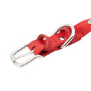 Braided Cool Stylish Braided Soft Padded Pet Collar Fits Small Medium Large