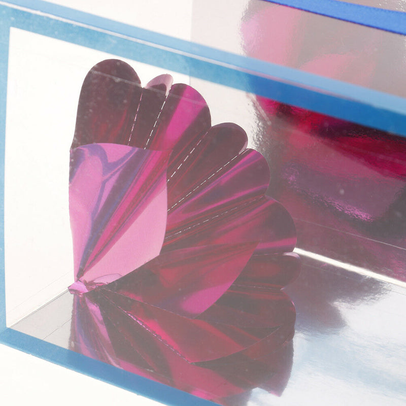 1Set flower box from bag free  stage magic tricks magician props-e3C