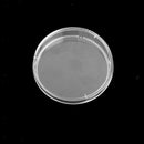 10Pcs Disposable Sterile Lab Cell/Plant Tissue Culture Dish& Lid 50mm